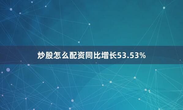 炒股怎么配资同比增长53.53%
