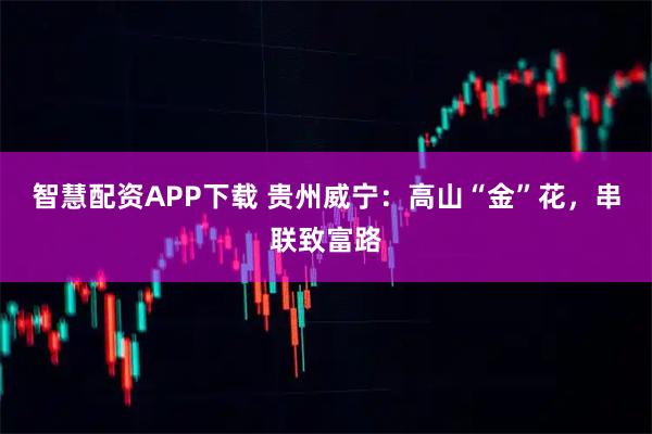 智慧配资APP下载 贵州威宁：高山“金”花，串联致富路