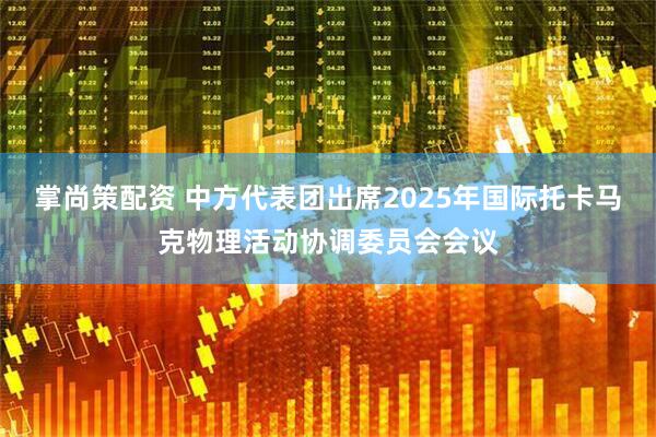 掌尚策配资 中方代表团出席2025年国际托卡马克物理活动协调委员会会议