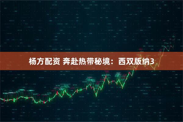 杨方配资 奔赴热带秘境:西双版纳3